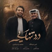 دانلود آهنگ امیر عبدالله و محمد زندوکیلی درد تنهایی